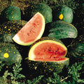 Red Moon and Stars Watermelon Seeds, NON-GMO, Heirloom, Very Sweet, Citrullus lanatus, Free Shipping