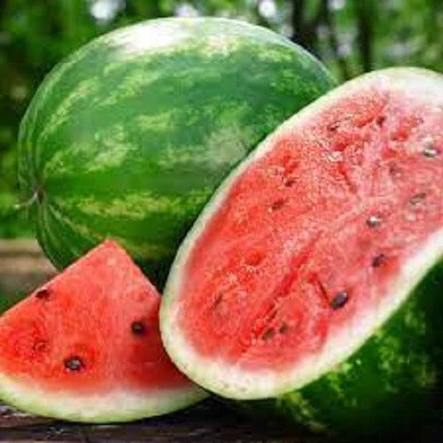 Premium Crimson Sweet Watermelon Seeds - Popular Variety for Home Gardening - Citrullus lanatus