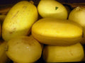 Spaghetti Squash Seeds 20 Ct Heirloom Winter Vegetable Garden Cucurbita pepo - USA Quality, Fresh Stock