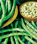California Black Eye Pea Seeds, Heirloom Non-GMO, 100 Seeds, Edible Legume, Vigna unguiculata