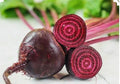 Early Wonder Beet Seeds - 200 Count - Organic, Non-GMO, Open Pollinated - Beta vulgaris