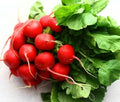 German Giant Radish Seeds - 250+ Open Pollinated Non-GMO Seeds - Ideal for Home Gardens - Raphanus sativus