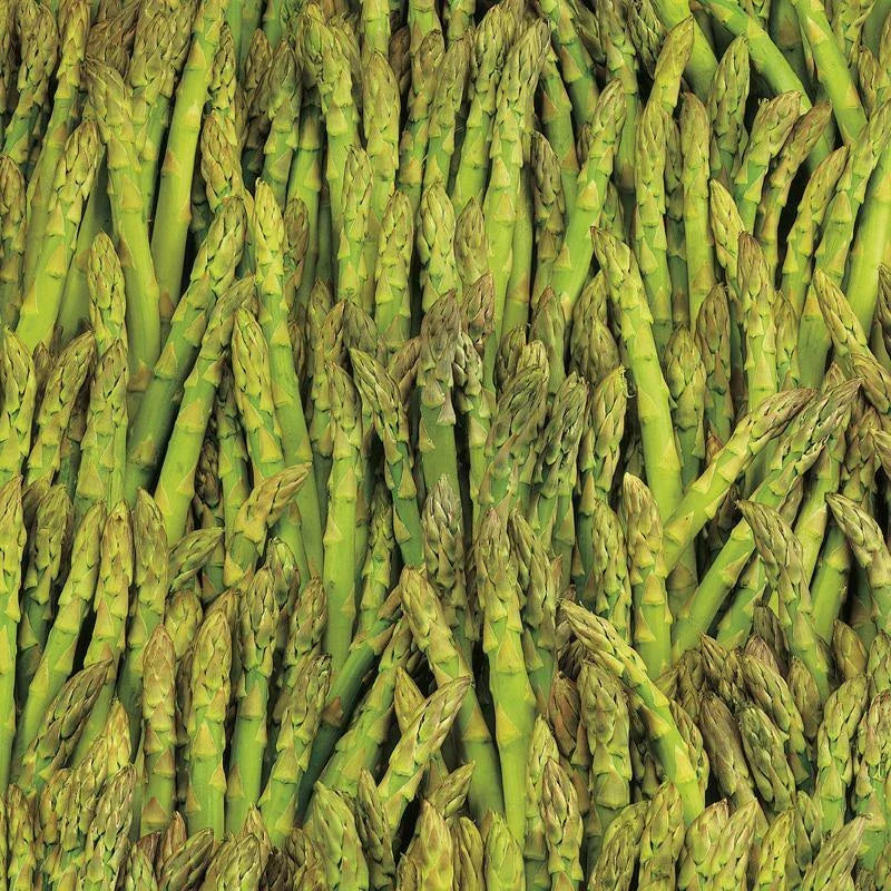 Asparagus Seeds 100+ Mary Washington Non-GMO Vegetable Garden Seeds - Asparagus officinalis