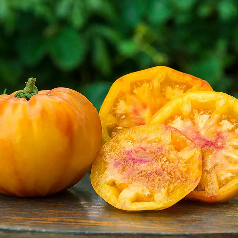 Gold Medal Tomato Seeds, Ruby Gold, Beefsteak Variety, NON-GMO, Slicing Tomatoes, Solanum lycopersicum
