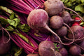 Detroit Dark Red Beet Seeds, NON-GMO, Heirloom Detroit Globe Variety, Organic Gardening, Vegetable Seeds