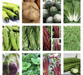 Asian Vegetable Seeds - 20 Variety Pack - Non-GMO Heirloom Seeds for Planting