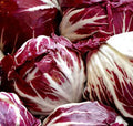 Radicchio Seeds 1000+ Palla Rosa Cool Season Vegetable Seeds - Cichorium intybus