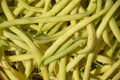 Golden Wax Bean Seeds - Fresh Top Notch Variety - High-Quality Seed for Planting - Phaseolus vulgaris