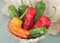 Cubanelle Sweet Pepper Seeds - NON-GMO - Variety Sizes - Capsicum annuum - Free Shipping