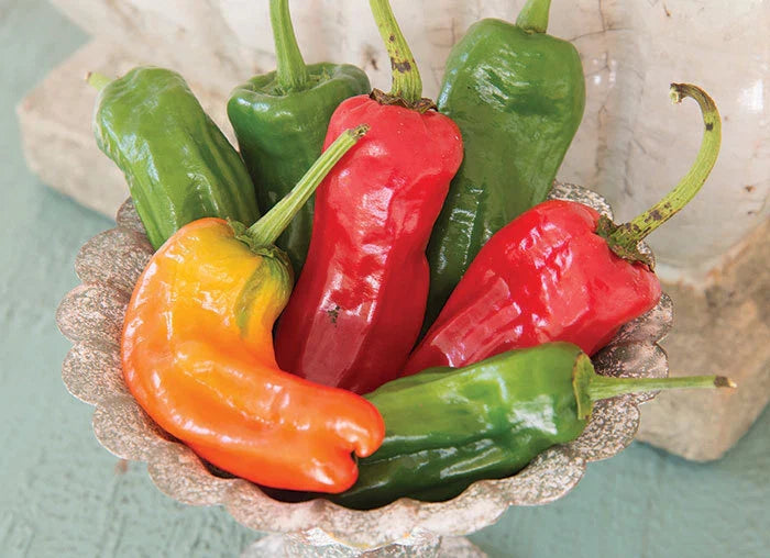 Cubanelle Sweet Pepper Seeds - NON-GMO - Variety Sizes - Capsicum annuum - Free Shipping
