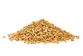 Wheat Cover Crop Seeds - Non-GMO Winter Wheat - Deer & Turkey Food Plot - Triticum aestivum
