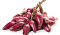 Tropea Lunga Onion Seeds - 500+ Pack - Italian Sweet Onion - Allium cepa - Perfect for Garden Planting, USA