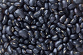 Black Bean Seeds for Planting - 30 Seeds - Easy to Grow, Phaseolus vulgaris, High Nutritional Value