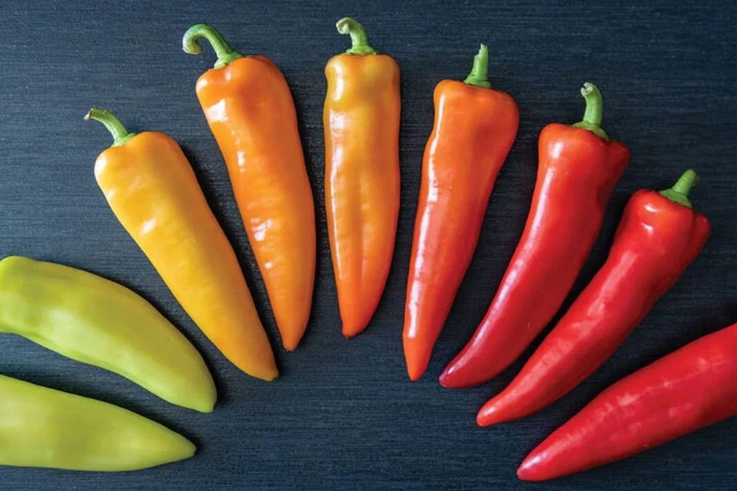 Hungarian Hot Wax Pepper Seeds - 30 Seeds for Planting - Spicy Variety (Capsicum annuum)
