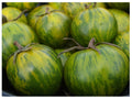 Green Zebra Tomato Seeds - Heirloom Varieties, Unique Color, Bulk Pack of 25-1000 Seeds - Perfect for Salad Gardens