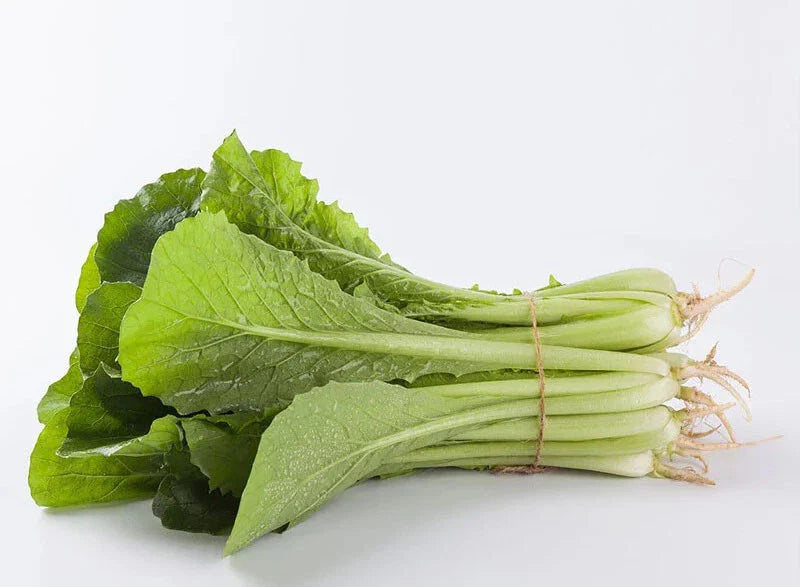 Pak Choi Seeds - 200+ Count Green Stem Chinese Cabbage (Bok Choy) - Brassica rapa - Four Season Vegetable - USA