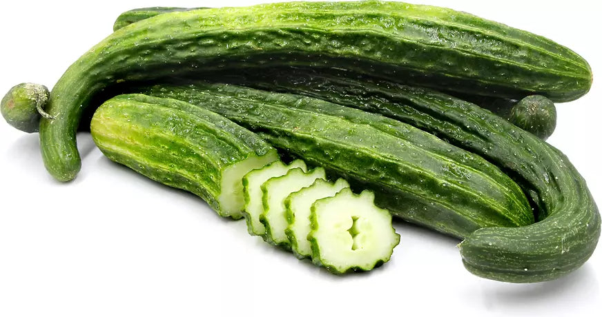 Suyo Long Cucumber Seeds - 100+ Heirloom Non-GMO Organic - Rare Variety - Cucumis sativus