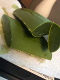 Organic Aloe Vera Fresh Leaves 1/2 Pound (8 Oz) for Medicinal Uses - All Natural Aloe Barbadensis Mill.