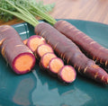 Purple Dragon Carrot Seeds - 100+ Heirloom Organic Non-GMO - RARE - Daucus carota