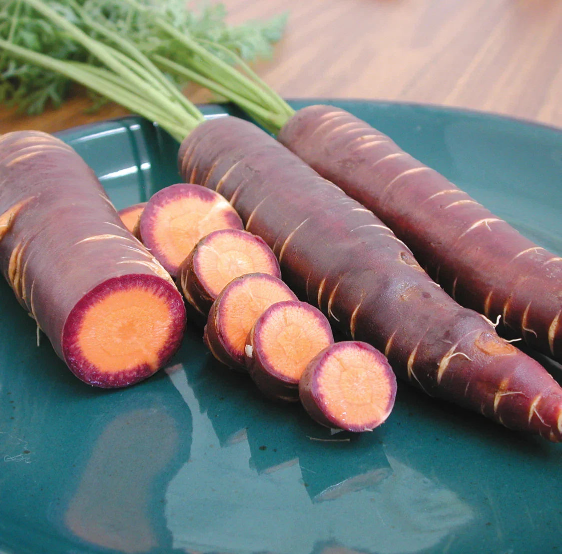 Purple Dragon Carrot Seeds - 100+ Heirloom Organic Non-GMO - RARE - Daucus carota
