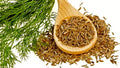 Organic Cumin Seeds - Culinary Grade, Annual, 50+ Seeds, Cuminum cyminum - Free Shipping