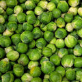 Brussel Sprouts Seeds 300+ Non-GMO Heirloom Long Island Variety, Organic Vegetable Gardening