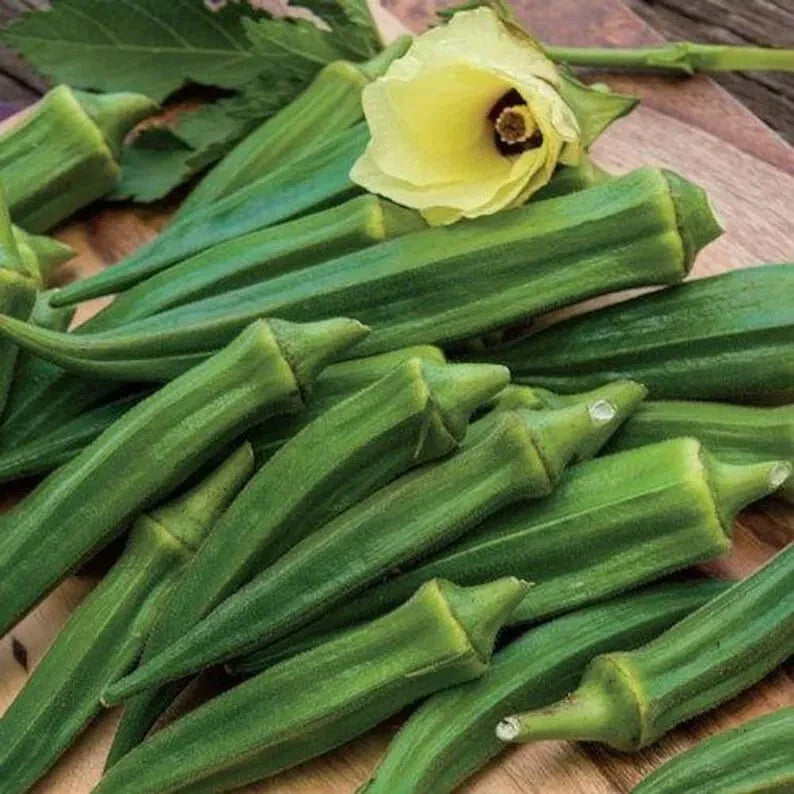 Emerald Okra Seeds - 100+ Heirloom Non-GMO Seeds - Fresh and Organic for Home Gardening (Abelmoschus esculentus)
