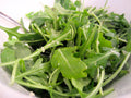Organic Arugula Roquette Seeds - 600+ Count for Spring & Fall Garden, Patio, and Containers - Fast & Easy Growth