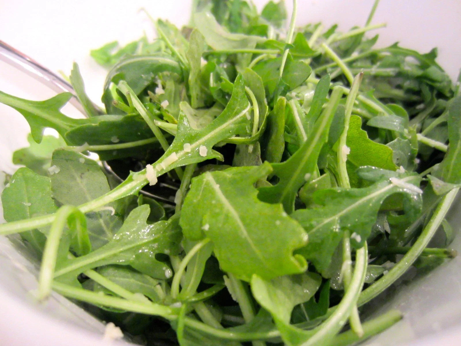 Organic Arugula Roquette Seeds - 600+ Count for Spring & Fall Garden, Patio, and Containers - Fast & Easy Growth