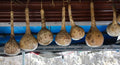 Dipper Gourd Squash Seeds - 25+ Heirloom Seeds for Garden Planting - Lagenaria siceraria - USA