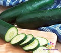 Diomede Cucumber Seeds - 25+ Pack for Garden Planting - Cucumis sativus - USA Grown
