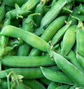 Sugar Snap Pea Seeds 25 Ct Heirloom Non-GMO Vegetable Garden Pods Pisum sativum