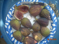 Longue D'Aout Fig Tree Cuttings Set, 5 Pcs, Delicious Large Fruits, Ficus carica
