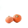 Gold Nugget Squash Seeds - 25+ Pack - Heirloom Variety - Cucurbita pepo - USA Grown - Home Garden Planting
