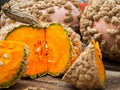 Organic Peanut Pumpkin Seeds - 10 Pack - USA Grown - Cucurbita pepo