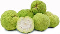 Hedge Apple Seeds - 10+ Osage Orange Horse Apple Monkey Ball - Maclura Pomifera
