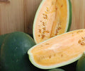 Siberian Watermelon Seeds - 10 Heirloom Non-GMO Organic Seeds - Rare Variety - Citrullus lanatus