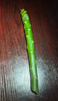 Plumeria Cuttings - 8-12 inch Unrooted - White or Rainbow Variety - Frangipani