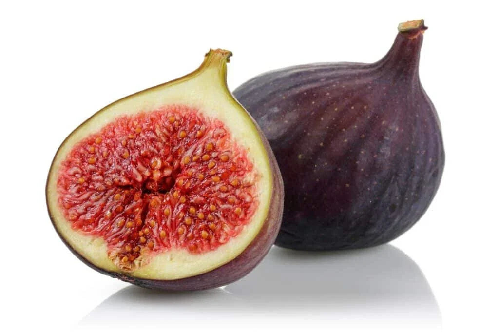 Osborne Prolific Fig Seeds - 100+ Premium Seeds for Garden Planting - Ficus carica - USA - Free Shipping