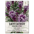Gayfeather Wildflower Seeds - Liatris spicata - Native Perennial Flower Seeds for Planting