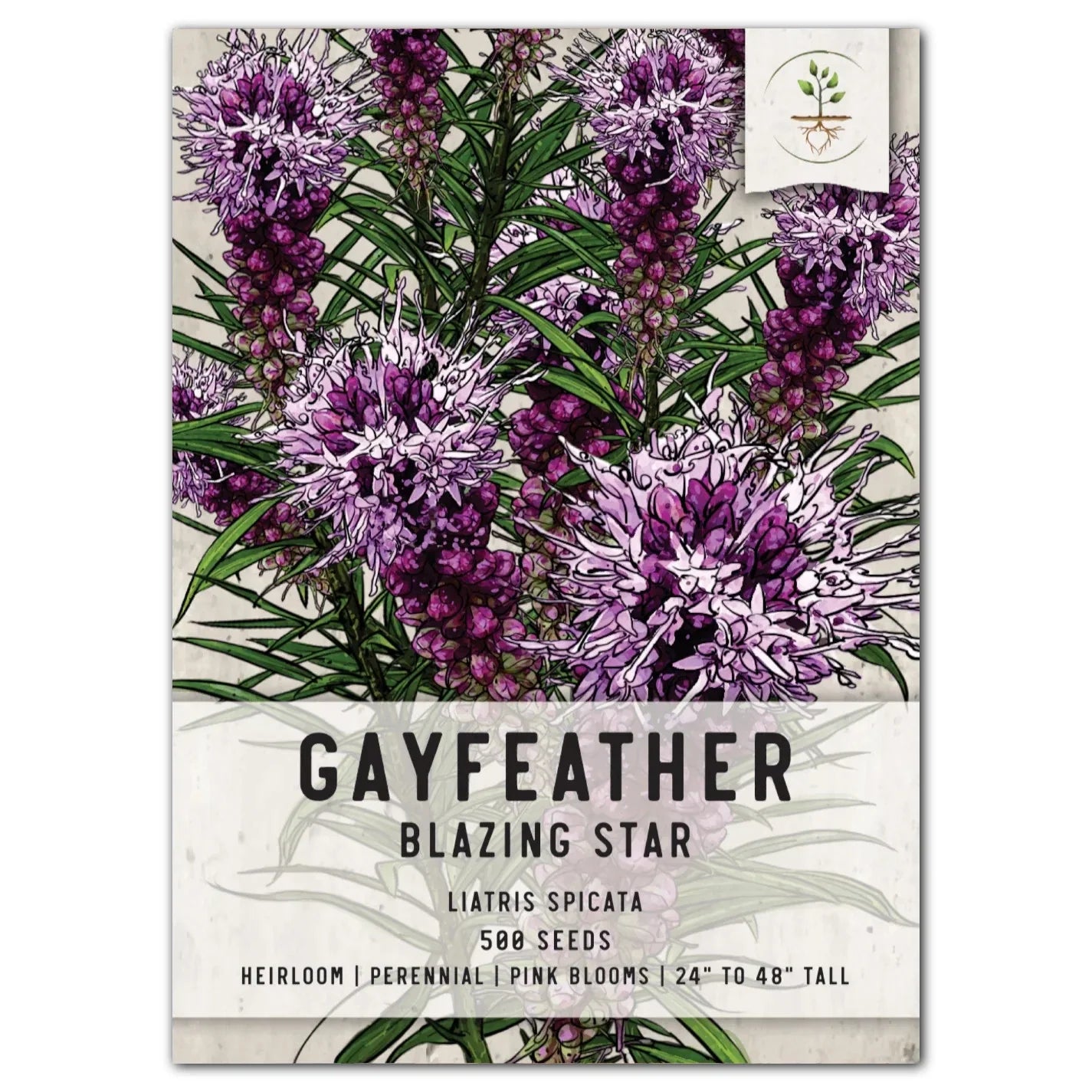 Gayfeather Wildflower Seeds - Liatris spicata - Native Perennial Flower Seeds for Planting