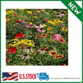 Midwest Wildflower Seed Mix - 1 Lb. Premium Blend of Annual & Perennial Native Flowers - Eco-Friendly Planting Seeds