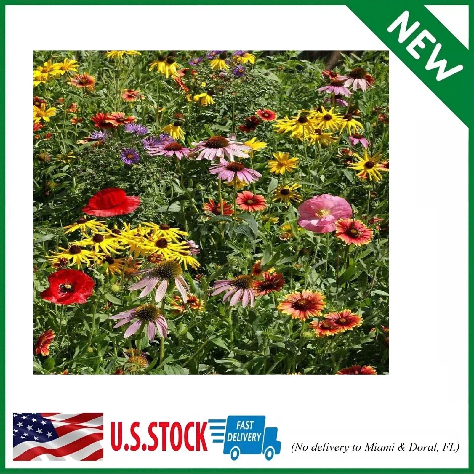 Midwest Wildflower Seed Mix - 1 Lb. Premium Blend of Annual & Perennial Native Flowers - Eco-Friendly Planting Seeds