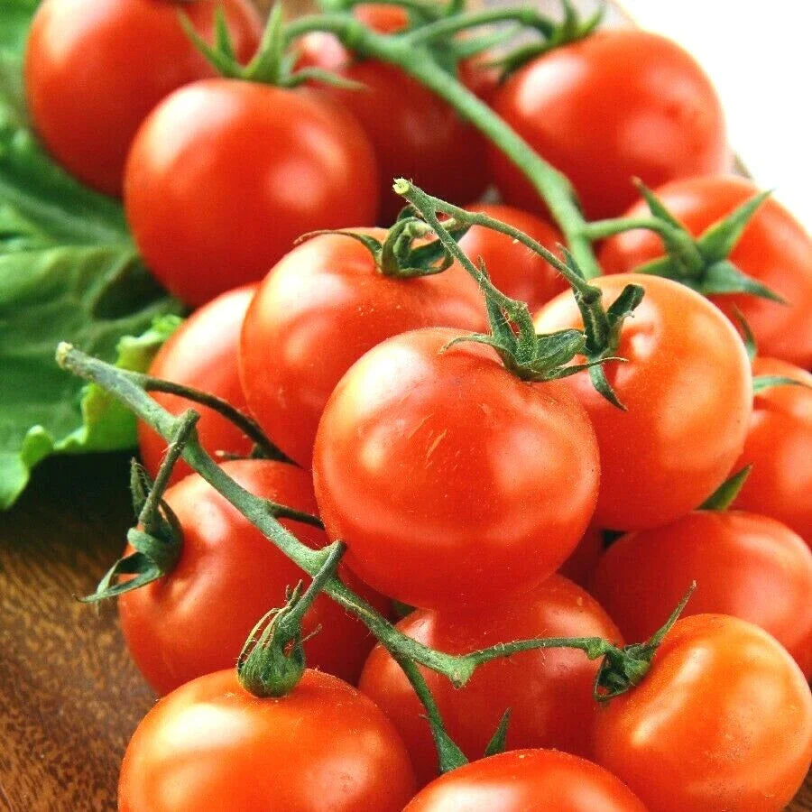 Organic Heirloom Cherry Tomato Seeds - 100+ Premium Vegetable Garden Seeds for Patio & Container Planting