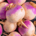Laurentain Rutabaga Seeds 300+ Non-GMO Vegetable Brassica Napus for Home Gardening, USA Supplier