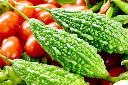Bitter Gourd Seeds - 10 Pack - Green Variety - Momordica charantia - Rare for Planting