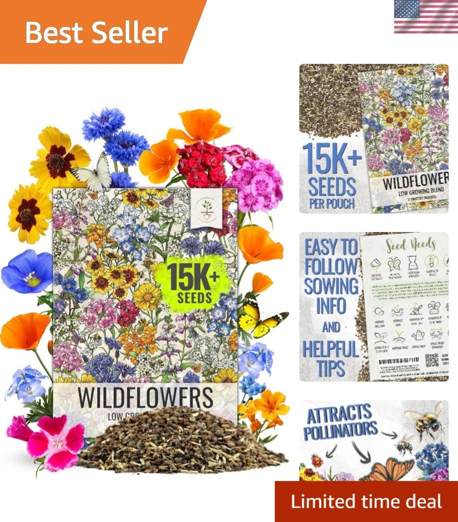 Wildflower Seeds Mix - Multicolored Low Growing - Attract Pollinators - Native Wildflowers