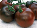 Black Prince Tomato Seeds - 30+ Heirloom Organic Non-GMO - Rare Variety - Solanum lycopersicum
