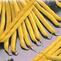 Golden Wax Bush Bean Seeds - Non-GMO Heirloom, Stringless Variety - Top Notch Quality - Free Shipping