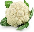 Snowball Cauliflower Seeds - 100 Count - Easy to Grow Vegetable Seeds - Brassica oleracea var. botrytis